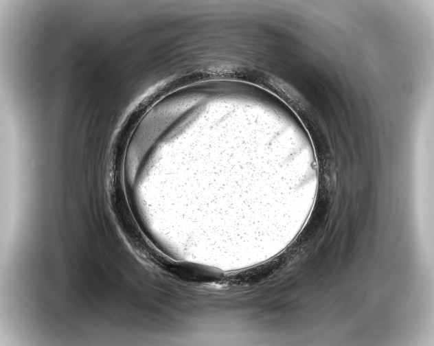 X0000085750728200704091315