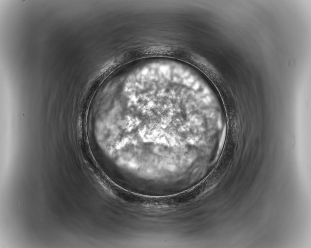 X0000085750729200704091315