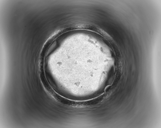 X0000085750730200704091315