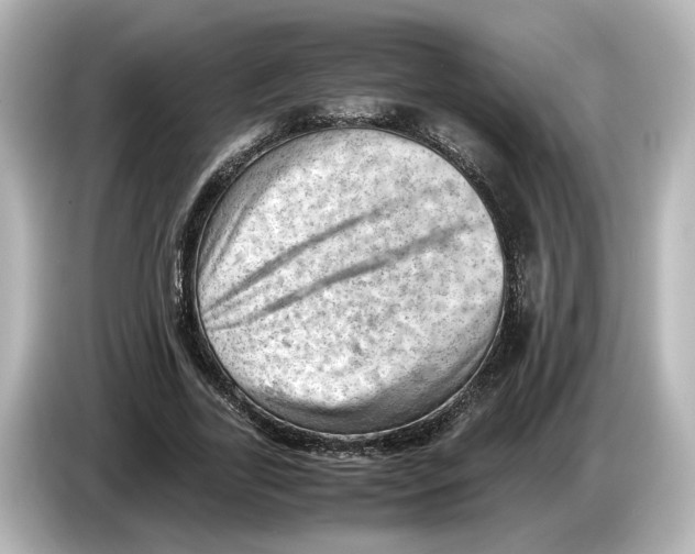 X0000085750731200704091315