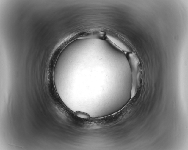 X0000085750732200704091315