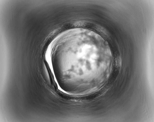 X0000085750733200704091315