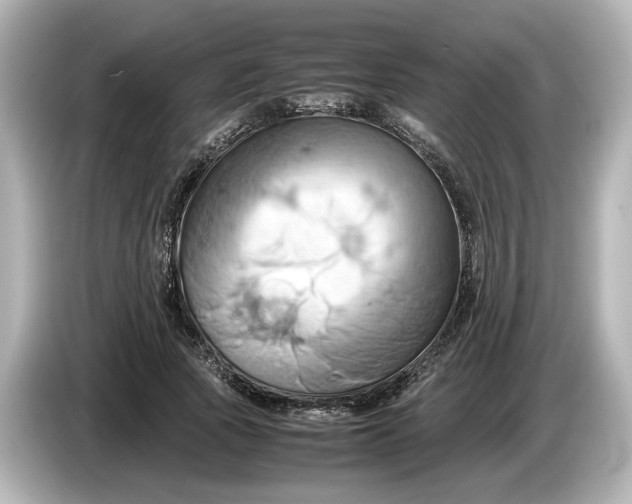 X0000085750737200704091315