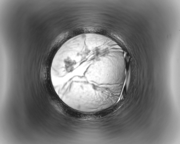 X0000085750738200704091315