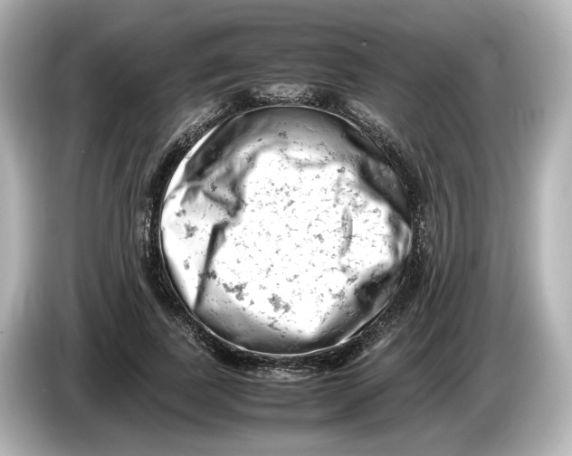 X0000085750739200704091315