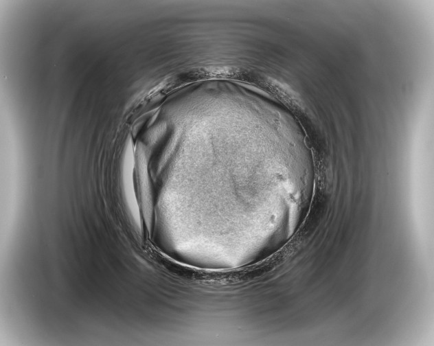 X0000085750740200704091315