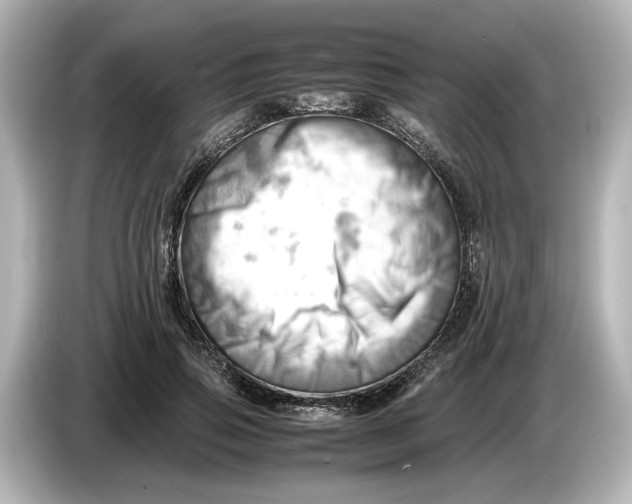 X0000085750741200704091315