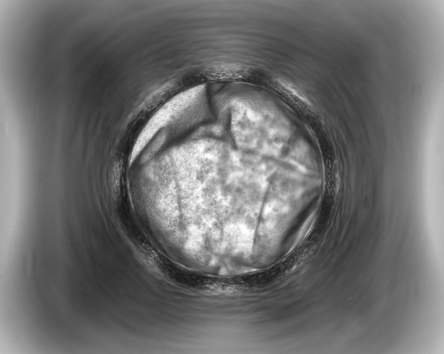 X0000085750742200704091315