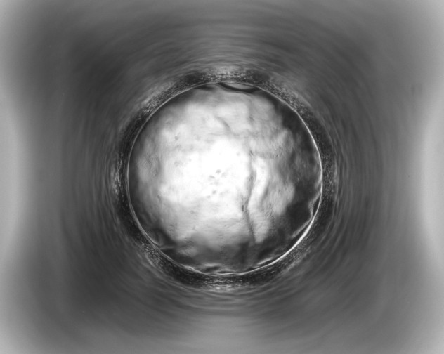 X0000085750746200704091315