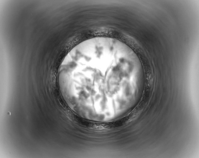 X0000085750753200704091316