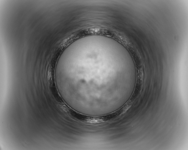 X0000085750754200704091316