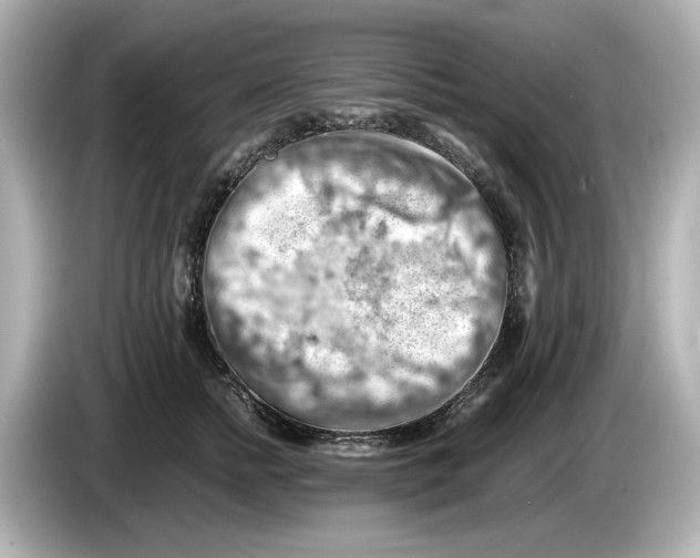 X0000085750758200704091316