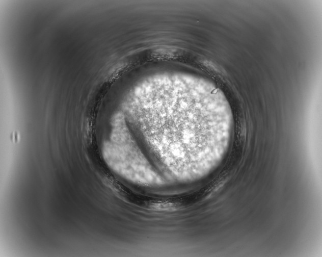 X0000085750759200704091316