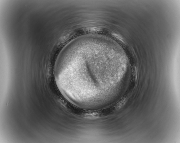 X0000085750760200704091316