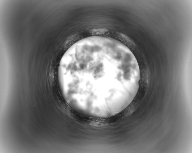 X0000085750761200704091316