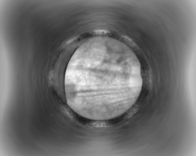 X0000085750762200704091316