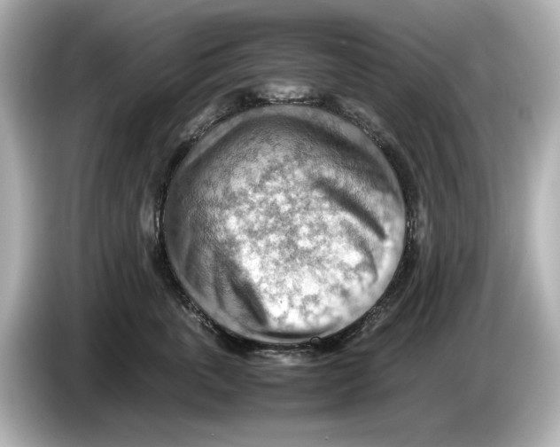 X0000085750763200704091316