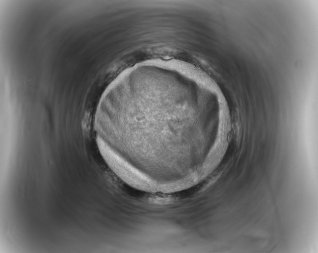 X0000085750767200704091316