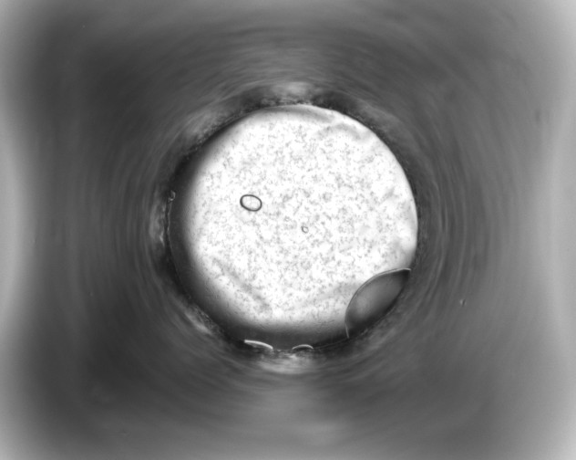 X0000085750768200704091316