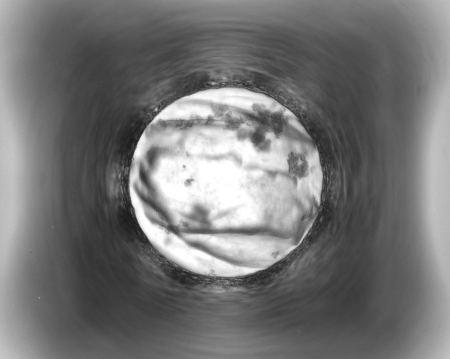 X0000085750770200704091315