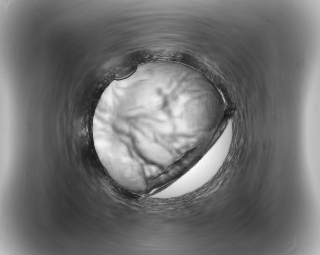 X0000085750771200704091315