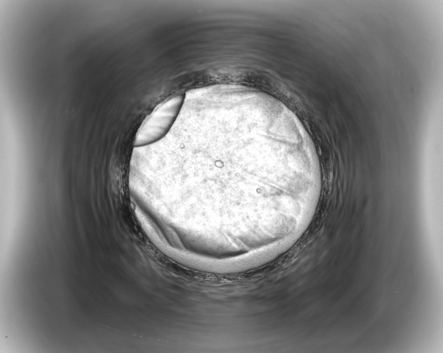 X0000085750772200704091315