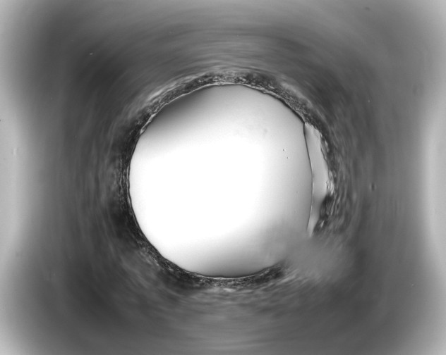 X0000085750773200704091315