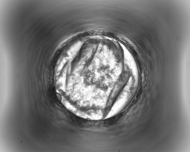 X0000085750775200704091315