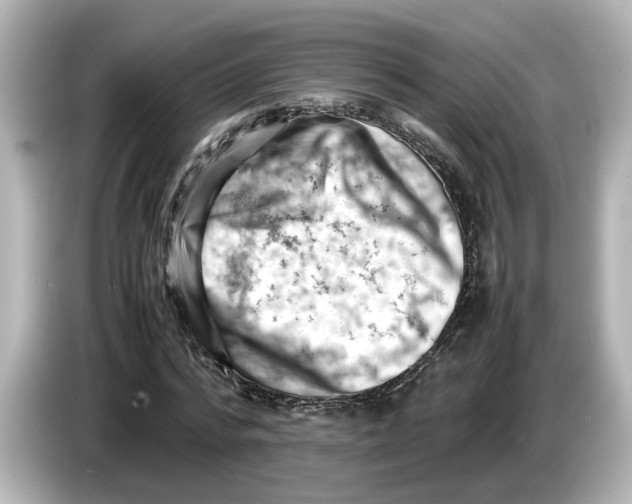 X0000085750776200704091315