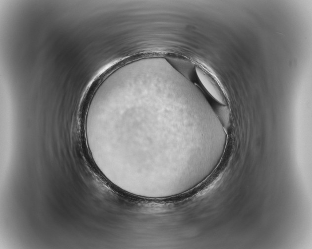 X0000085750779200704091315