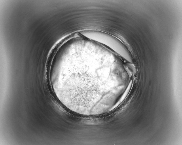 X0000085750780200704091315