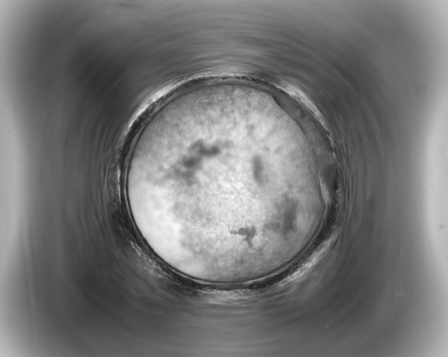 X0000085750781200704091315