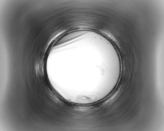 X0000085750782200704091315