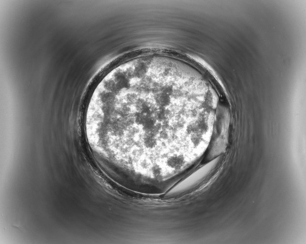 X0000085750783200704091315