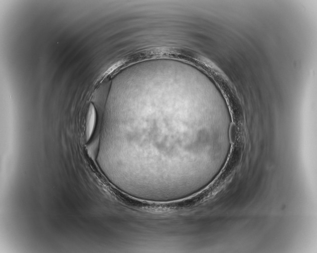 X0000085750785200704091315