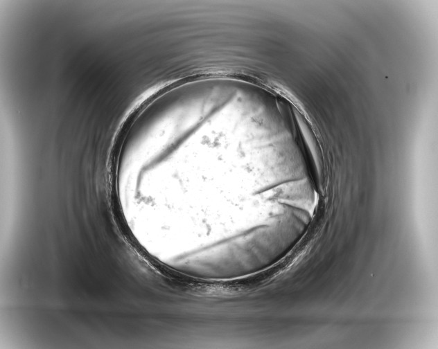 X0000085750787200704091315