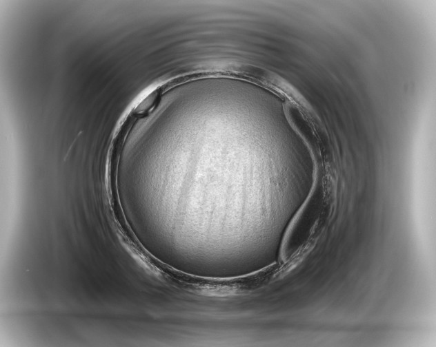 X0000085750788200704091315