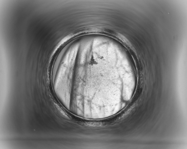 X0000085750789200704091315