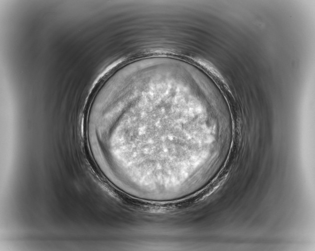 X0000085750790200704091315