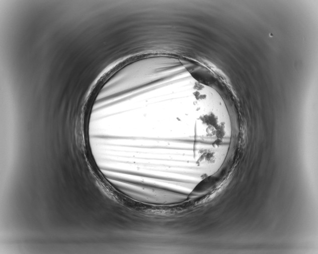 X0000085750792200704091315