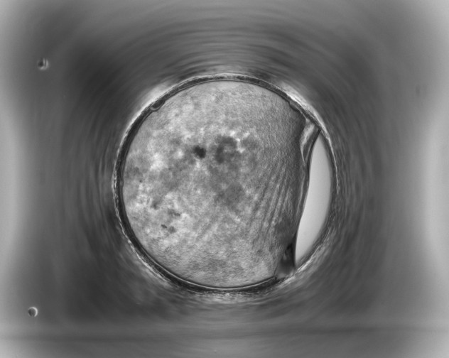 X0000085750797200704091315