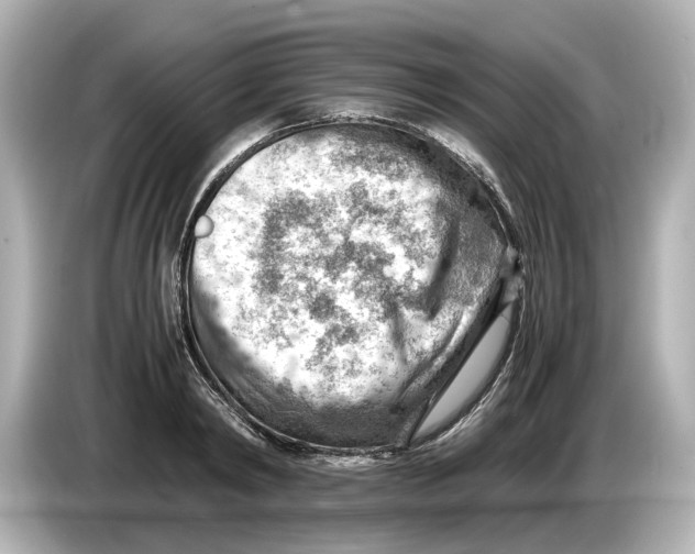 X0000085750798200704091315