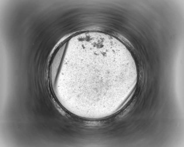 X0000085750800200704091315