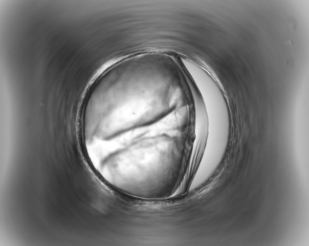 X0000085750803200704091315