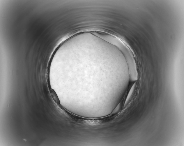 X0000085750805200704091315