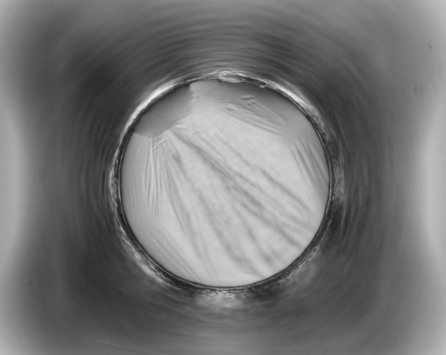 X0000085750806200704091315