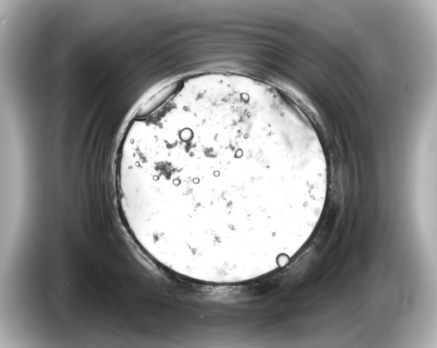 X0000085750808200704091315