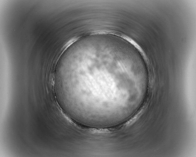 X0000085750809200704091315