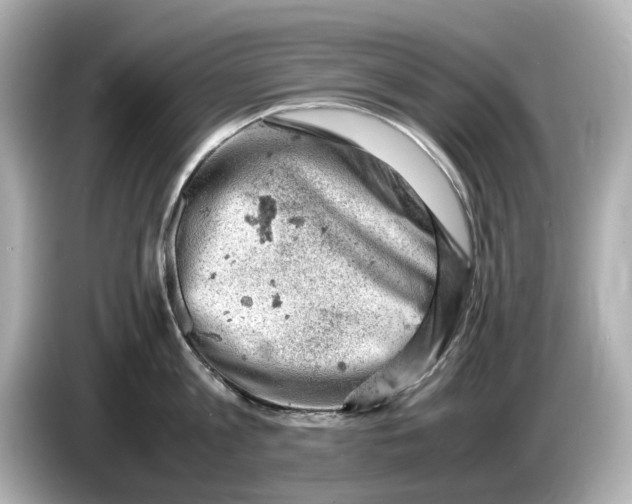 X0000085750813200704091315