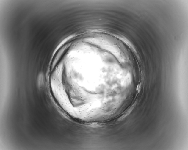 X0000085750814200704091315